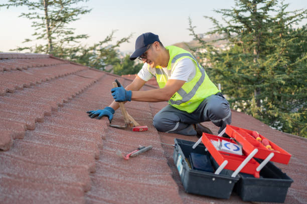 Best Roof Inspection Near Me  in Blossom, TX